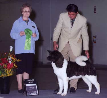 Picture of Beamer with handler JR
