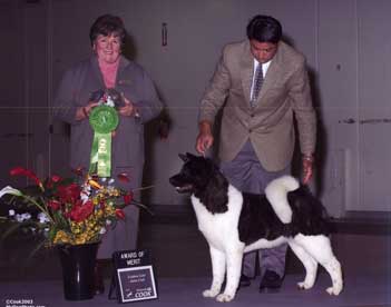 Picture of Beamer with handler JR