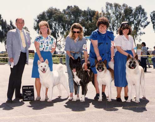 Picture of Jackie and other dogs